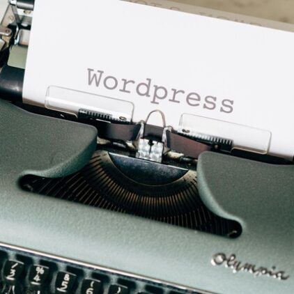 Wordpress Developers